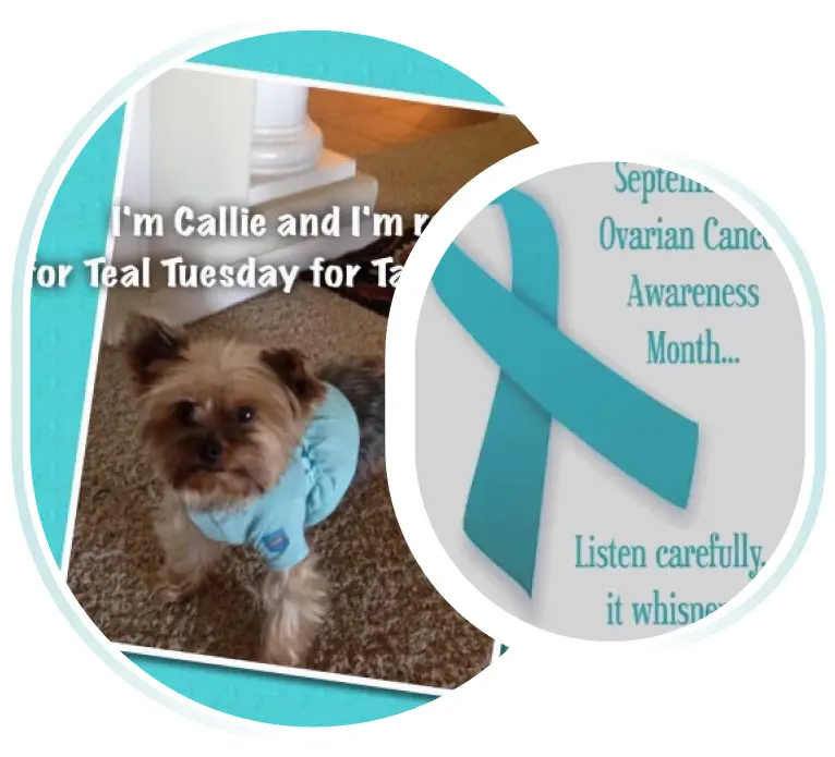 Taylor Steele Cancer Foundation mission is to bring hope